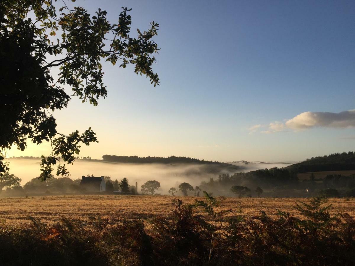 La Colline Des Renards Chambres Locmaria-Berrien Eksteriør billede